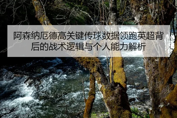 阿森纳厄德高关键传球数据领跑英超背后的战术逻辑与个人能力解析